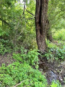 358447052_299100562486361_2510239700616645336_n
